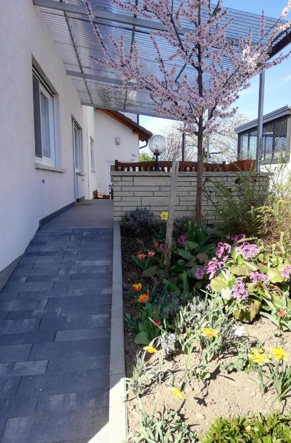 Ferienhaus Rauwolf Mit 2 Ferienwohnungen Roschbach Экстерьер фото