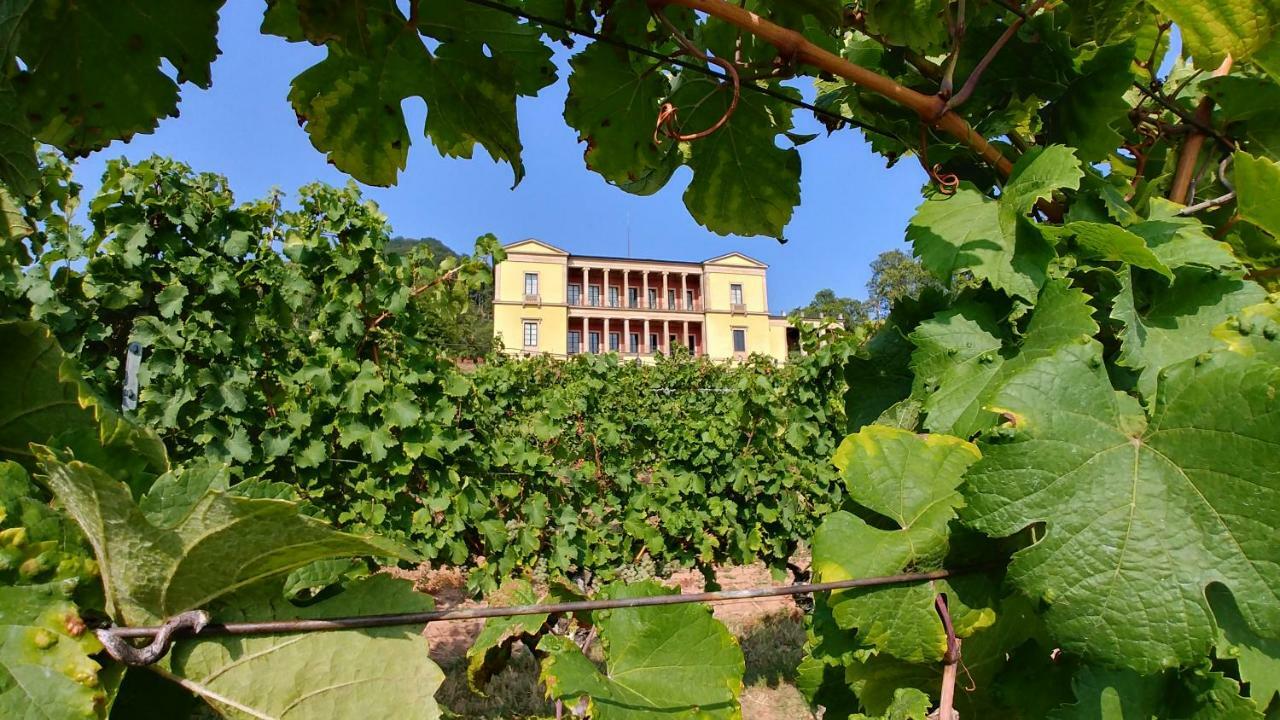 Ferienhaus Rauwolf Mit 2 Ferienwohnungen Roschbach Экстерьер фото